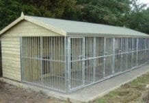 Como Montar Um Canil – Guia Completo (espaço, licenças, estrutura)