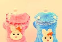 Como Montar Uma Fábrica de Roupas Para Cães