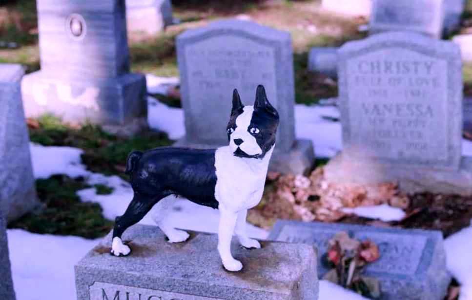 Como Investir em Cemitérios e Crematórios de Animais