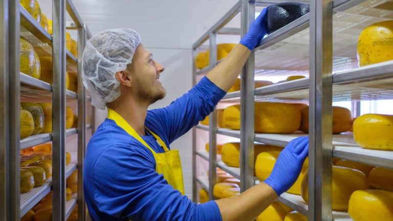 Como montar uma fábrica de queijos [Todas as Etapas para Abrir]