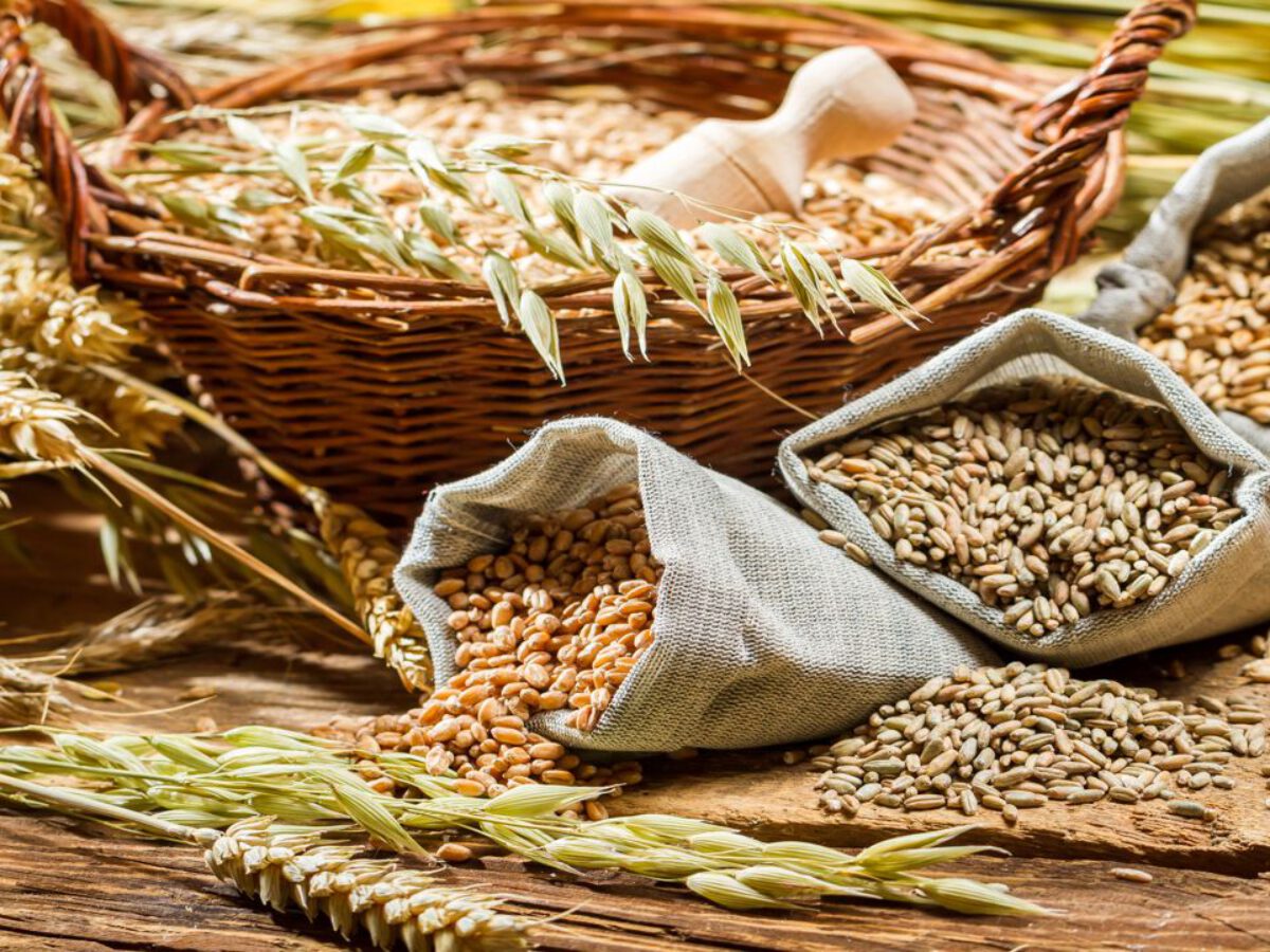 Beneficiamento de grãos e cereais: Guia de Como Fazer e Dicas