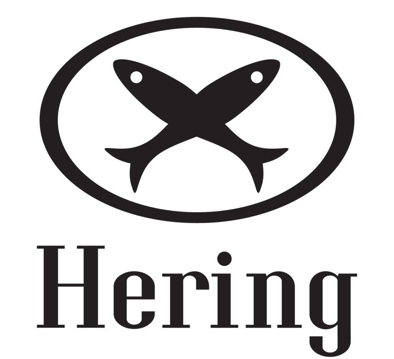 Melhores franquias Hering Store