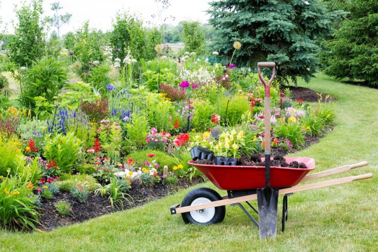 Paisagismo e Jardinagem – 7 Dicas Para se Dar Bem