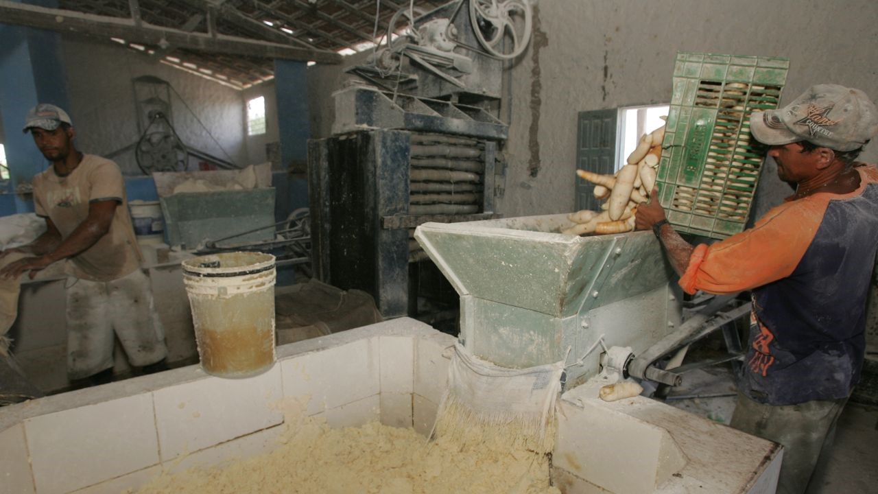 fabrica de farinha de mandioca